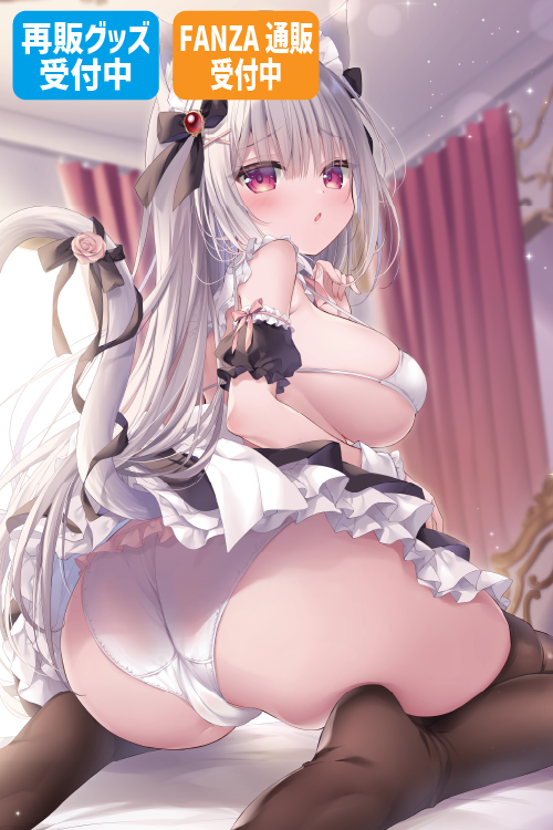 しばいぬにき先生