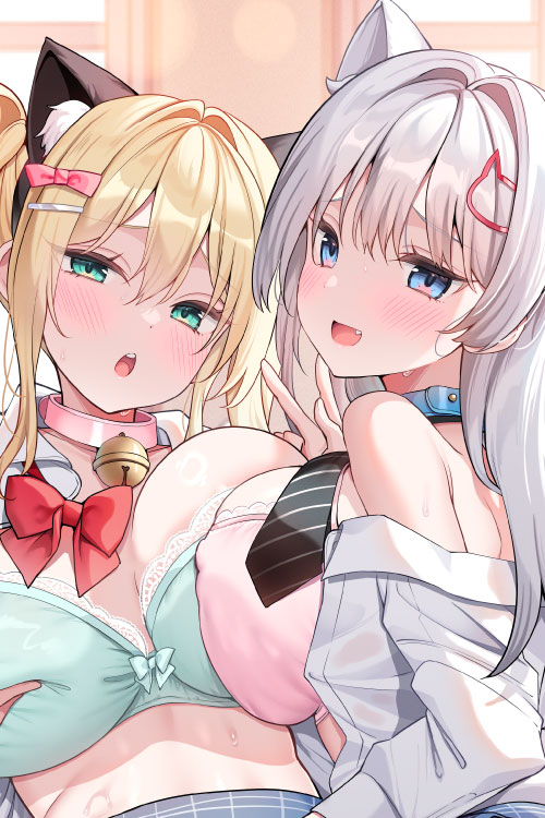 三色網戸。先生